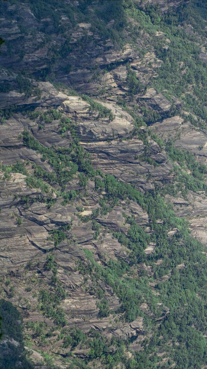 开人流高峰1日高效游玩全攻略黄山一日游最佳路线避坑版避(图2)